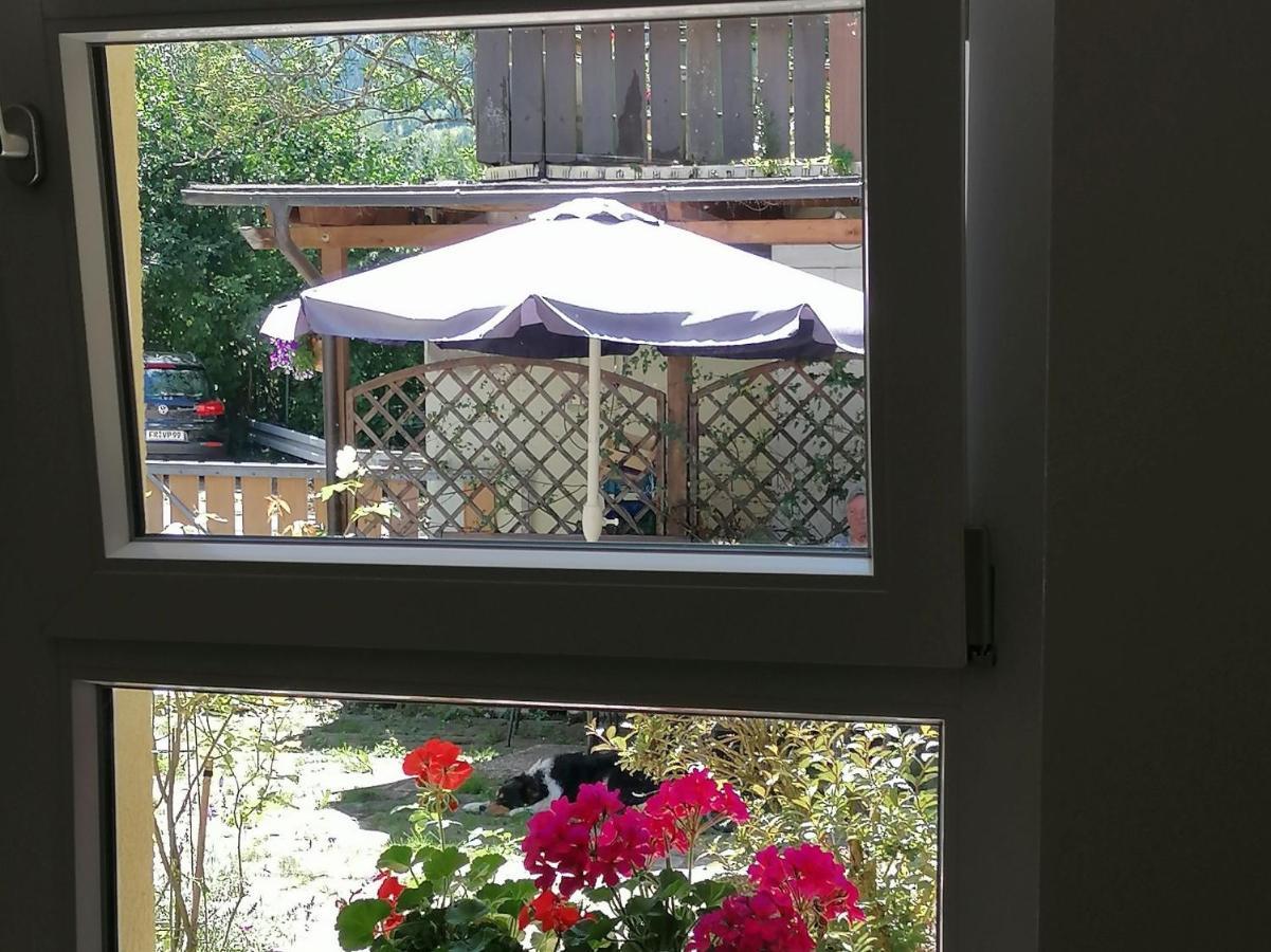 Jogis Ferienwohnungen Freiburg Bagian luar foto